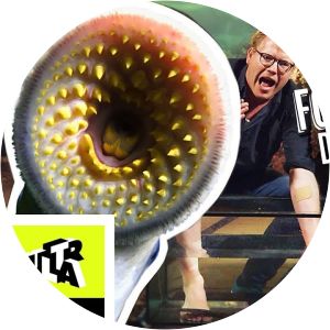 Bidt, brændt og stukket