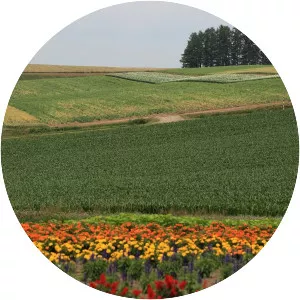 Biei - Town in Hokkaido, Japan