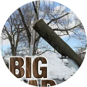 Big Bad WoodSince 2013