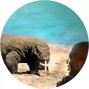 Big Beasts: Last of the Giants - TV program