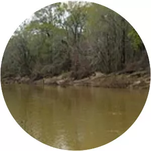 Big Black River - River in Mississippi