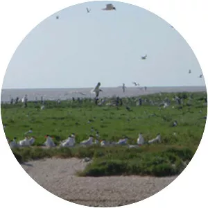 Big Boggy National Wildlife Refuge - Wildlife refuge in Texas