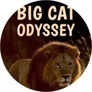 Big Cat Odyssey
