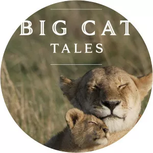 Big Cat TalesSince 2018