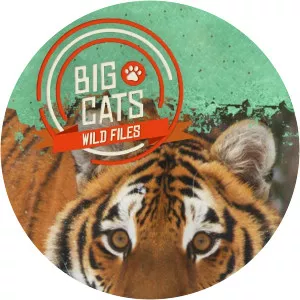 Big Cats: Wild Files - TV program