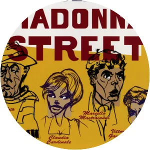 Big Deal on Madonna Street