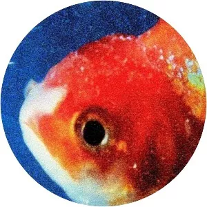 Big Fish Theory - Studio album by Vince Staples