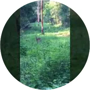 Big Foot Beach State Park