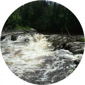 Big Fork State Forest - 