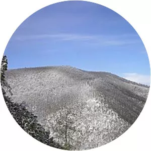 Big Frog Mountain - Mountain in Tennessee