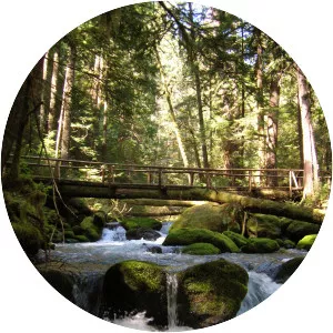 Big Quilcene River - River in Washington