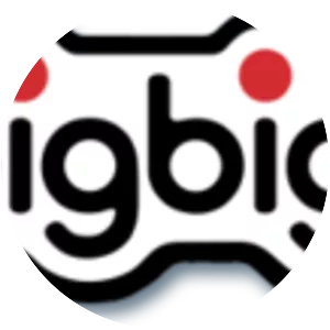 Bigbig Studios - Video game developer