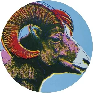 Bighorn Ram (Endangered Species) - Artwork