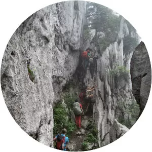 Bijele Stijene - 