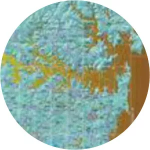 Bike-it! Sydney Back-Street Cycle Route Planner & Hill Finder Bruce Sinclair Knight Merz