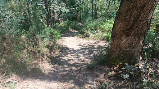 Bike track - Cycling park in Portugal