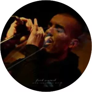 Bilge Kocaarslan - Musical artist