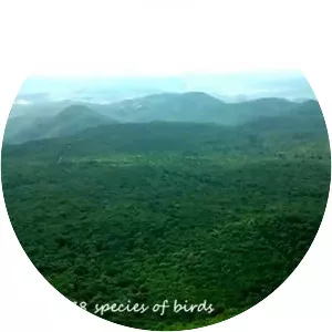 Biligiriranga Hills - Mountain range in India