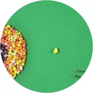 Biljana Labovic - Animator