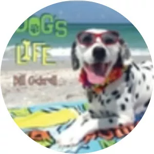 Bill Cockrell - Musical artist