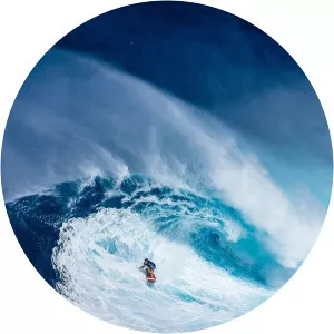 Billabong Surf T V Volume 2