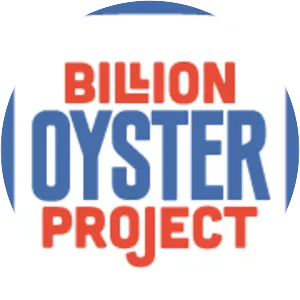 Billion Oyster Project - 