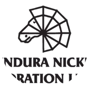 Bindura Nickel Corporation - Company