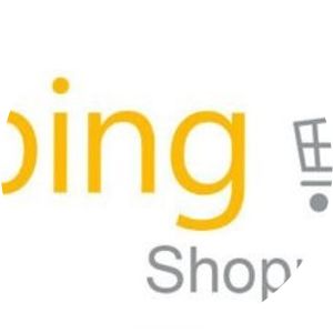 Bing Shopping - Website