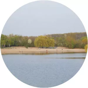 Binsfeld (lake)