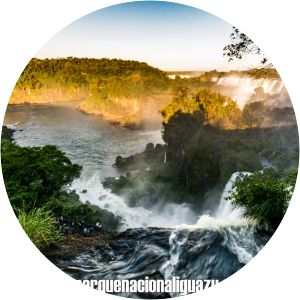 biocentro iguazu parque nacional iguazu - sendero superior