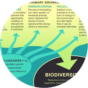 Biodiversity loss