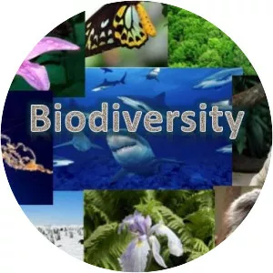 Biodiversity - 