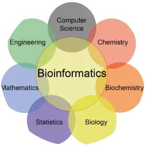 Bioinformatics