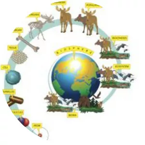 Biology - Field of study