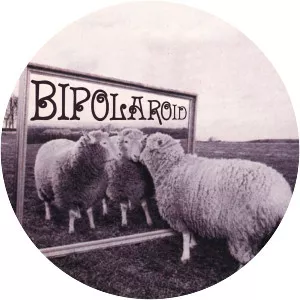 Bipolaroid