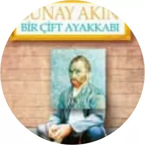 Bir Çift Ayakkabı