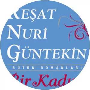 Bir Kadın Düşmanı