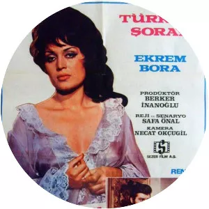 Bir kadin kayboldu (Bir Kadın Kayboldu)