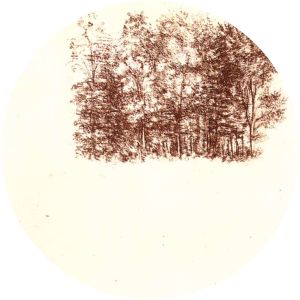 Birch copse - Artwork
