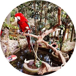 Bird and Bromelia Pavilion