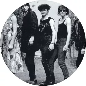 Bird Nest Roys - Rock band