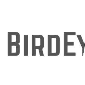 BirdEye