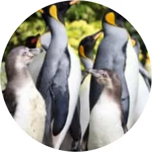 Birdland Park & Gardens