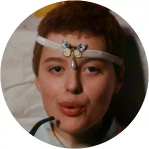 Birds, Orphans and Fools