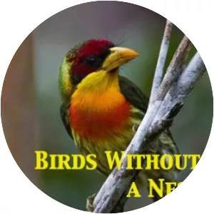 Birds Without a Nest