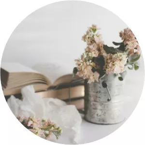 Birge Huisgen-Zimmermann - Mathematician