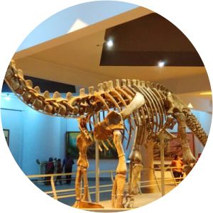 Birla Science Centre