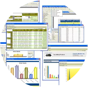 BIRT Project - Software