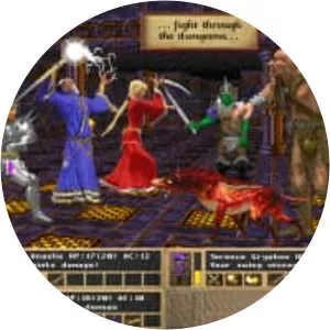 Birthright: The Gorgon's Alliance - Video game