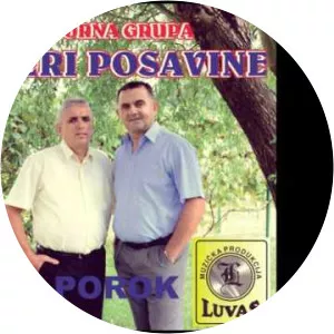 Biseri Posavine - Musical artist